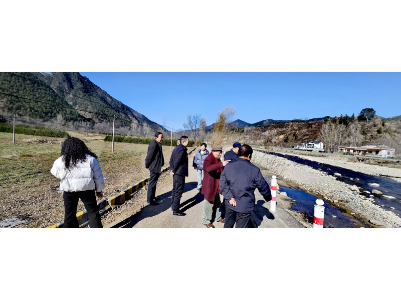 秦岭结“蜂”缘！众天蜂业携手洛南石羊村产业合作绘富卷