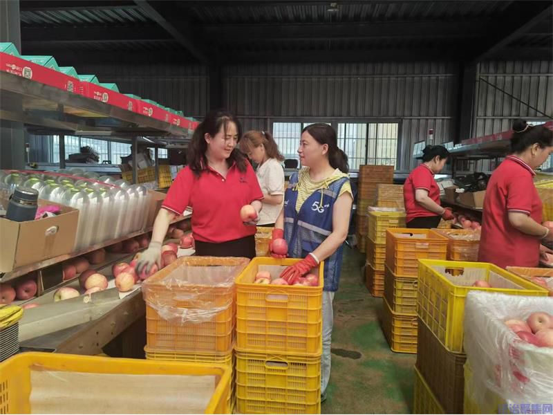 数智赋能特色产业 暖心助农振兴乡土——陕西移动延安分公司助力