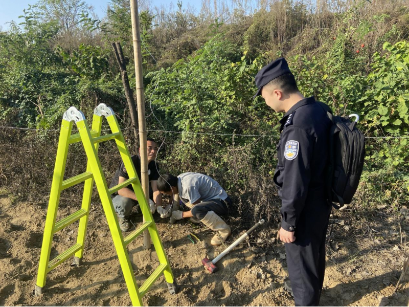 田间地头助秋收，绘就丰收好“警”色